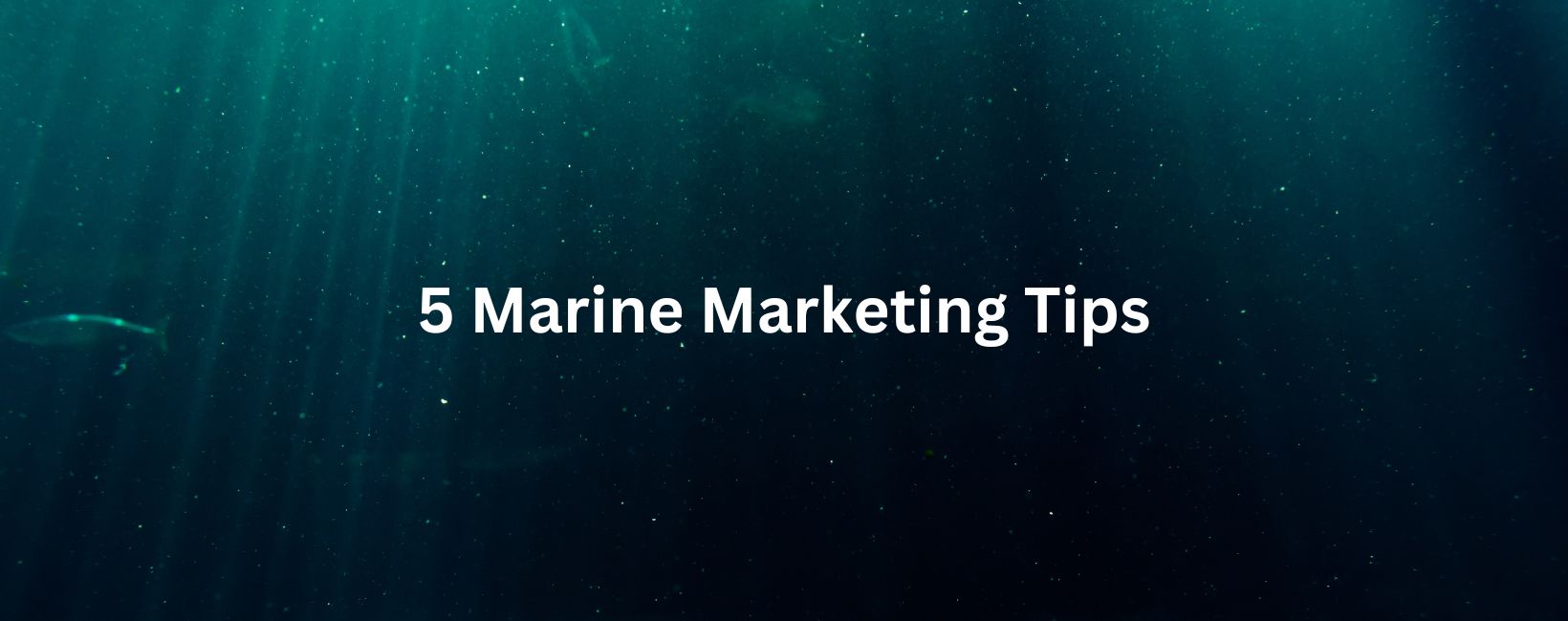 Illustration for Marine Marketing: 5 Growth Strategies