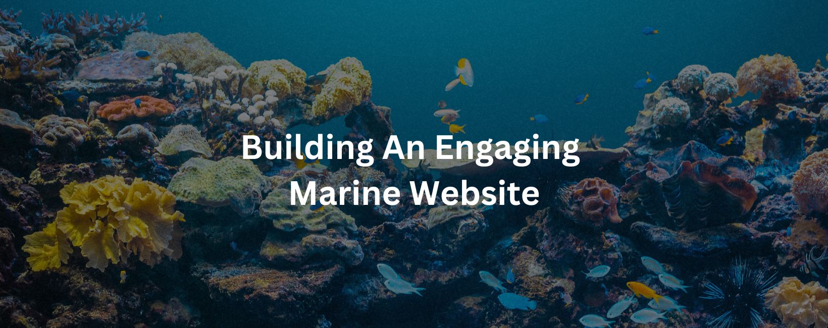 Illustration for User-Friendly Marine Website Design