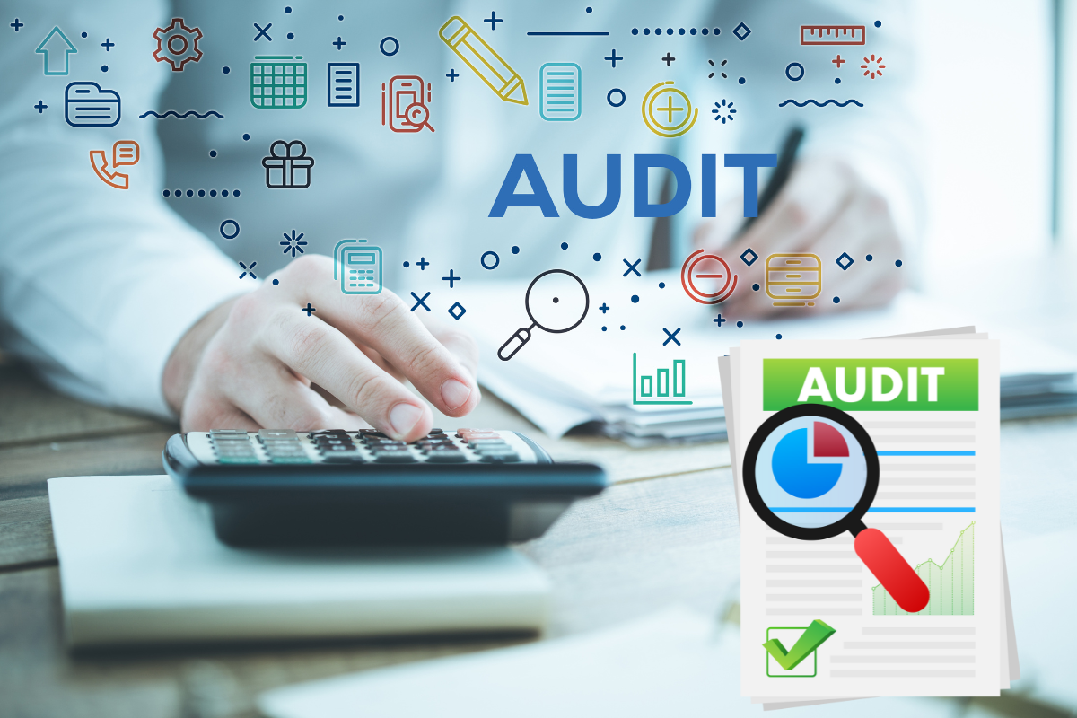 Website Audit graphic
