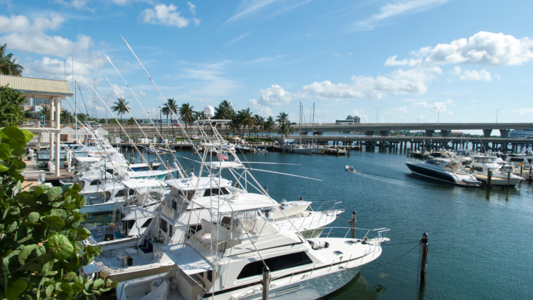 boats on parked on beautiful harbor